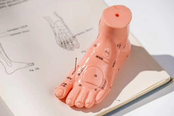 Acupuncture demonstration on foot model — Stock Photo, Image