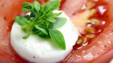   Mozarella ve fesleğen bir dönüş tablo ile İtalyan meze domates