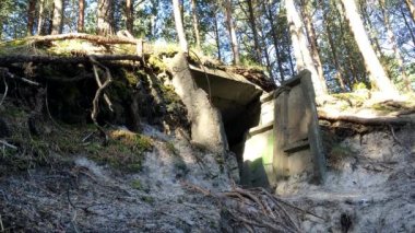 Bir ormandaki ww2 Alman sığınağı