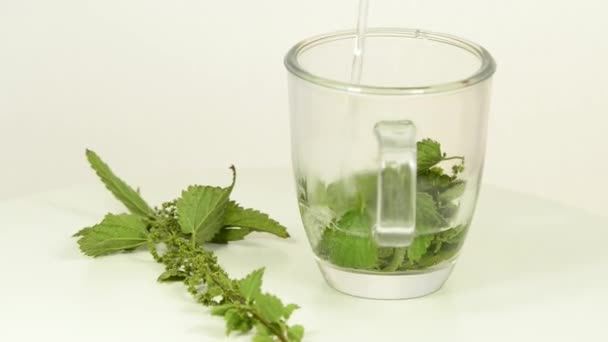 thé à l'ortie piquante sur une table tournante 