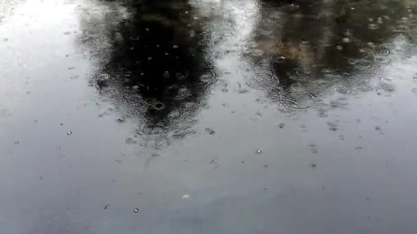 Poça de chuva com gotas de chuva — Vídeo de Stock