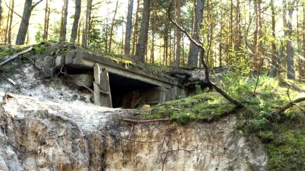 Bunker alemão do ww2 em uma floresta — Vídeo de Stock