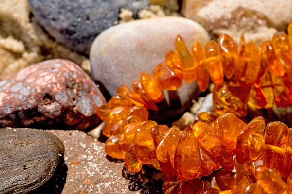 Amber necklace on a beach of the Baltic Sea Stock Image