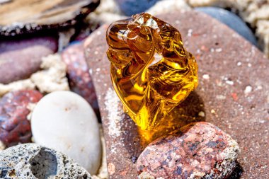 Amber Baltık Denizi'nin bir plajda