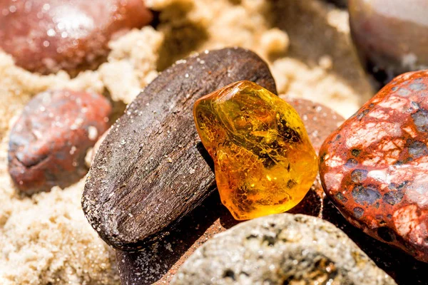 Amber på en strand i Östersjön — Stockfoto