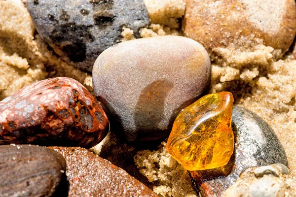 Amber på en strand i Östersjön — Stockfoto