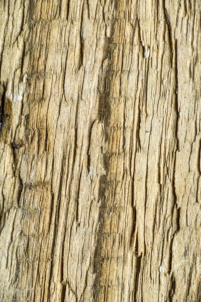 Old plank with texture — Stock Photo, Image