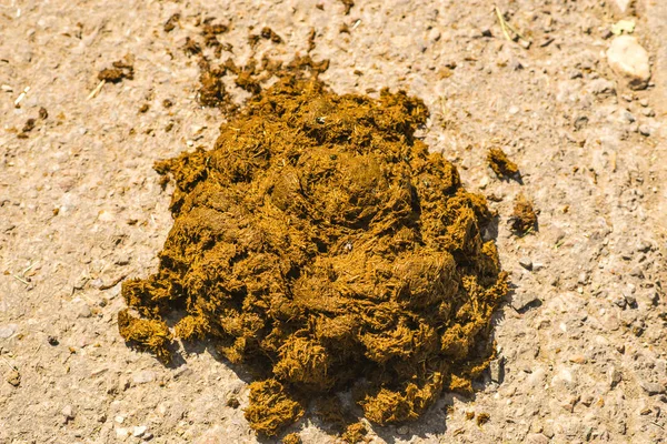 Horse dung heap — Stock Photo, Image