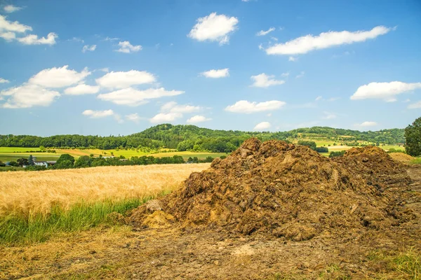 Colina de esterco em um prado — Fotografia de Stock