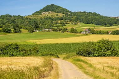View of a wheat field to emperor hill Hohenstaufen clipart