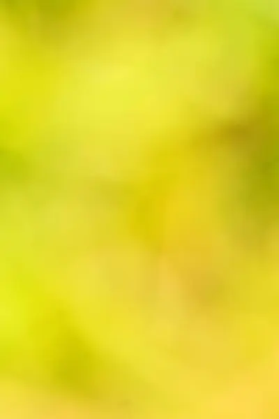 Achtergrond van vage kleuren op een weide — Stockfoto