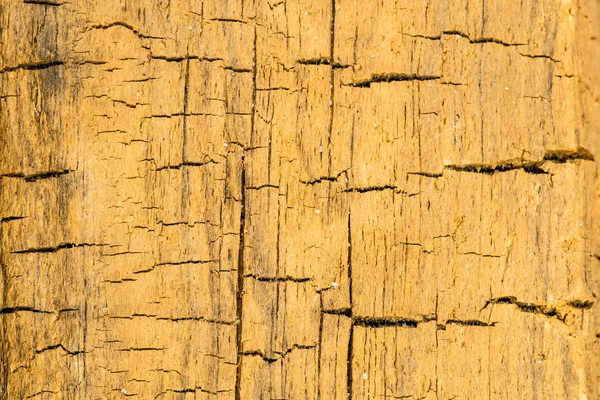 Old plank with texture — Stock Photo, Image