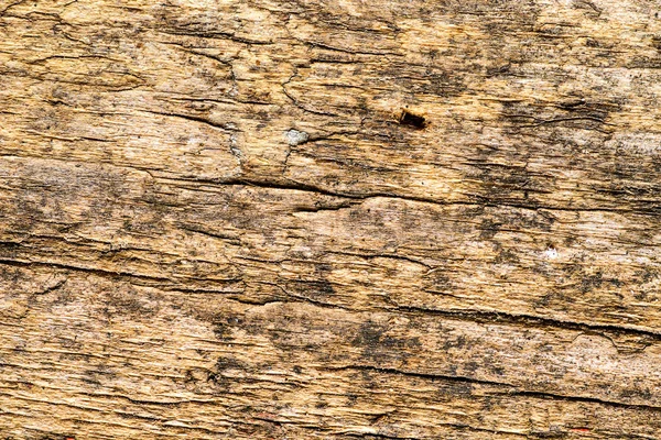 Old plank with texture — Stock Photo, Image