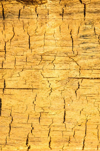 Vieille planche avec texture et fissures — Photo