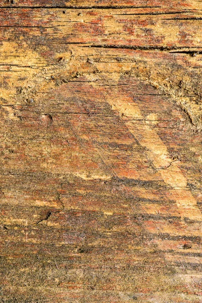 Old plank with texture — Stock Photo, Image