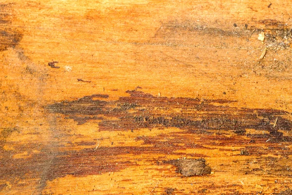 Old plank with texture — Stock Photo, Image