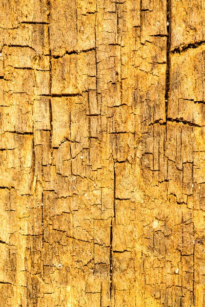 Gamla planka med textur och sprickor — Stockfoto