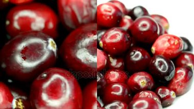 Kızılcık, turntable taze