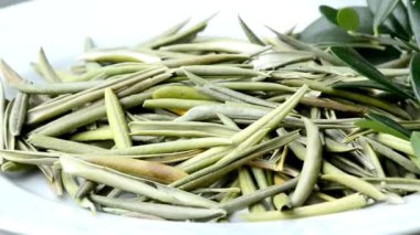 zeytin ağacının yaprak, yaprak ve infüzyon kurutulmuş