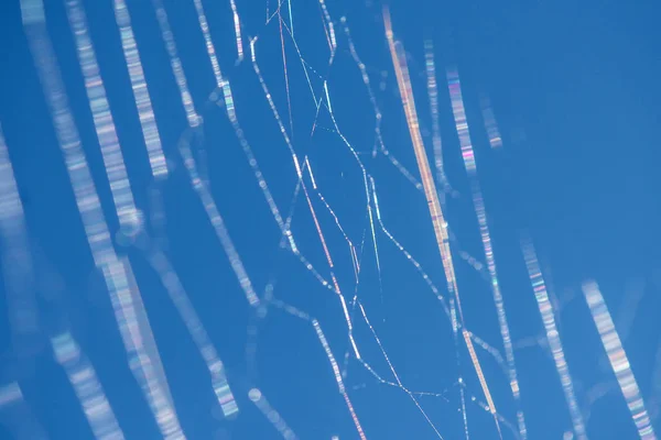 Latający nici pajęczej sieci — Zdjęcie stockowe