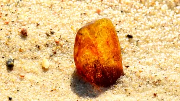 Amber på en strand i Östersjön — Stockvideo