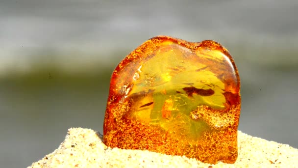Amber on a beach of the Baltic Sea — Stock Video