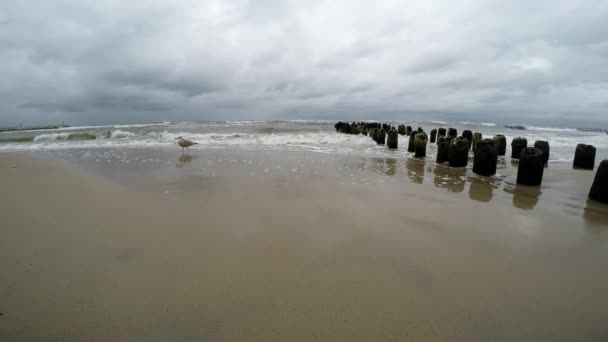 Surf van de Oostzee in Polen, camera in de branding — Stockvideo