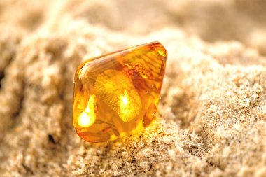 Amber Baltık Denizi'nin bir plajda