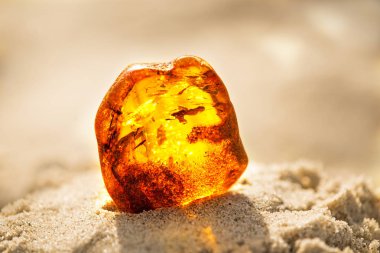 Amber Baltık Denizi'nin bir plajda