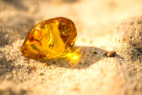 Amber on a beach of the Baltic Sea — Stock Photo, Image