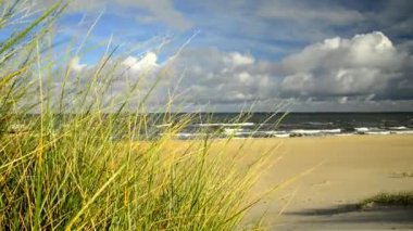 Plaj beach çim ile Baltık Denizi'nin