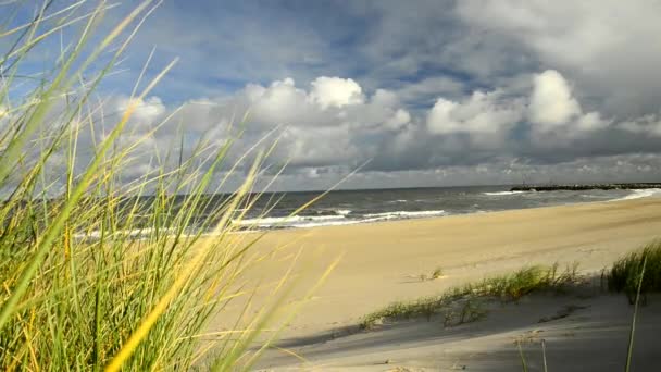 Praia do mar Báltico com grama de praia — Vídeo de Stock