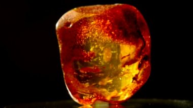 Amber bir dönüş tablo güneşte