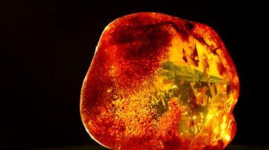 Amber bir dönüş tablo güneşte