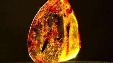 Amber bir dönüş tablo güneşte