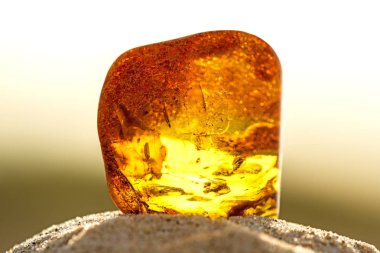 Amber Baltık Denizi'nin bir plajda