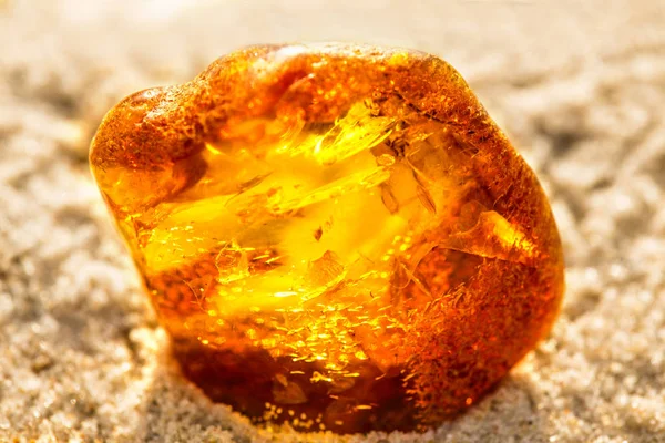 Amber egy Beach, a Balti-tenger — Stock Fotó