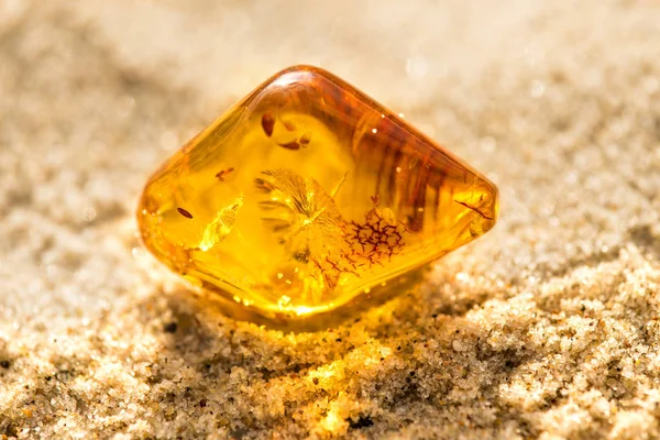 Amber on a beach of the Baltic Sea — Stock Photo, Image