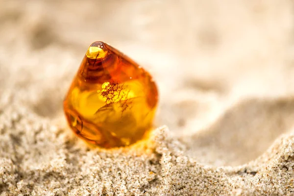 Amber on a beach of the Baltic Sea — Stock Photo, Image