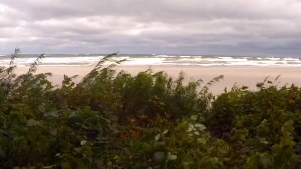 Sturm an der Ostsee — Stockvideo