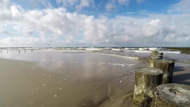 Surf i Östersjön i Polen, kameran i bränningen — Stockvideo