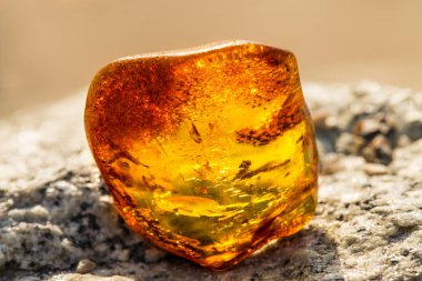 Amber Baltık Denizi'nin bir plajda