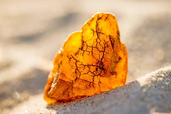 Amber op een strand van de Oostzee — Stockfoto