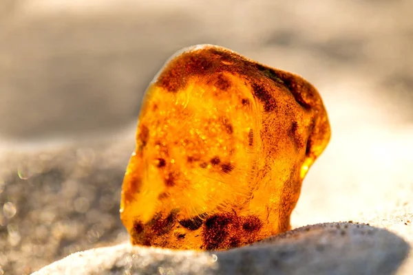 Ámbar en una playa del Mar Báltico — Foto de Stock