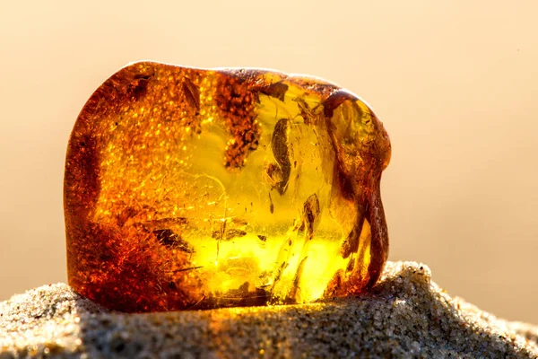 Amber op een strand van de Oostzee — Stockfoto