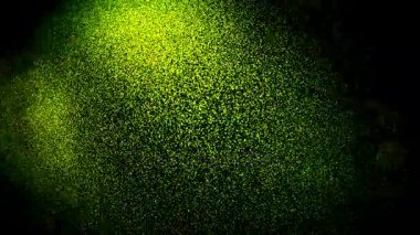 dans, yeşil ve sarı dijital Aurora