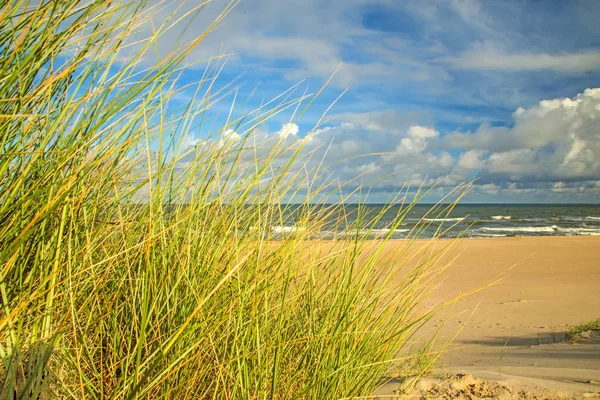 Plage de la mer Baltique avec plage d'herbe et banc de parc en contre-jour — Photo