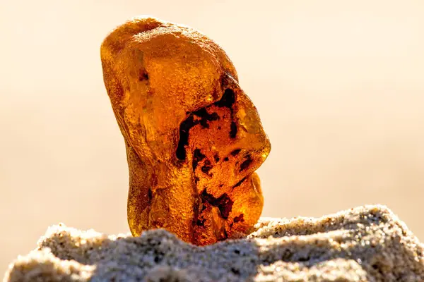 Amber on a beach of the Baltic Sea — Stock Photo, Image