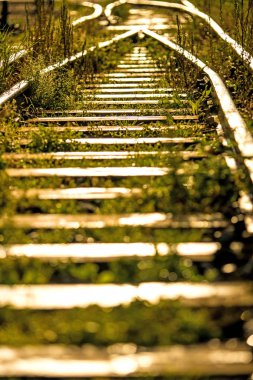 Yumuşak Sonbahar sabah güneşin altında eski raylar