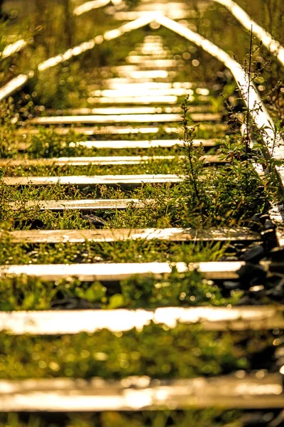 Oude rails in zachte herfst ochtendzon — Stockfoto